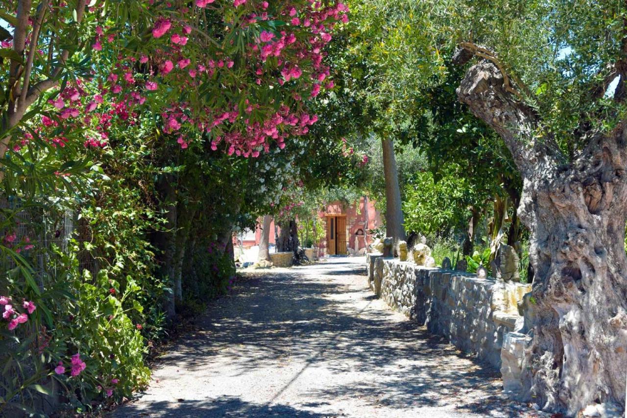 Avocado Villas Chania (Crete) Exterior foto